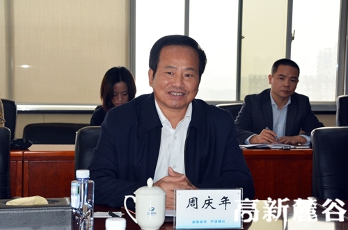 3长沙高新区党工委书记周庆年发言。袁路华 摄.JPG